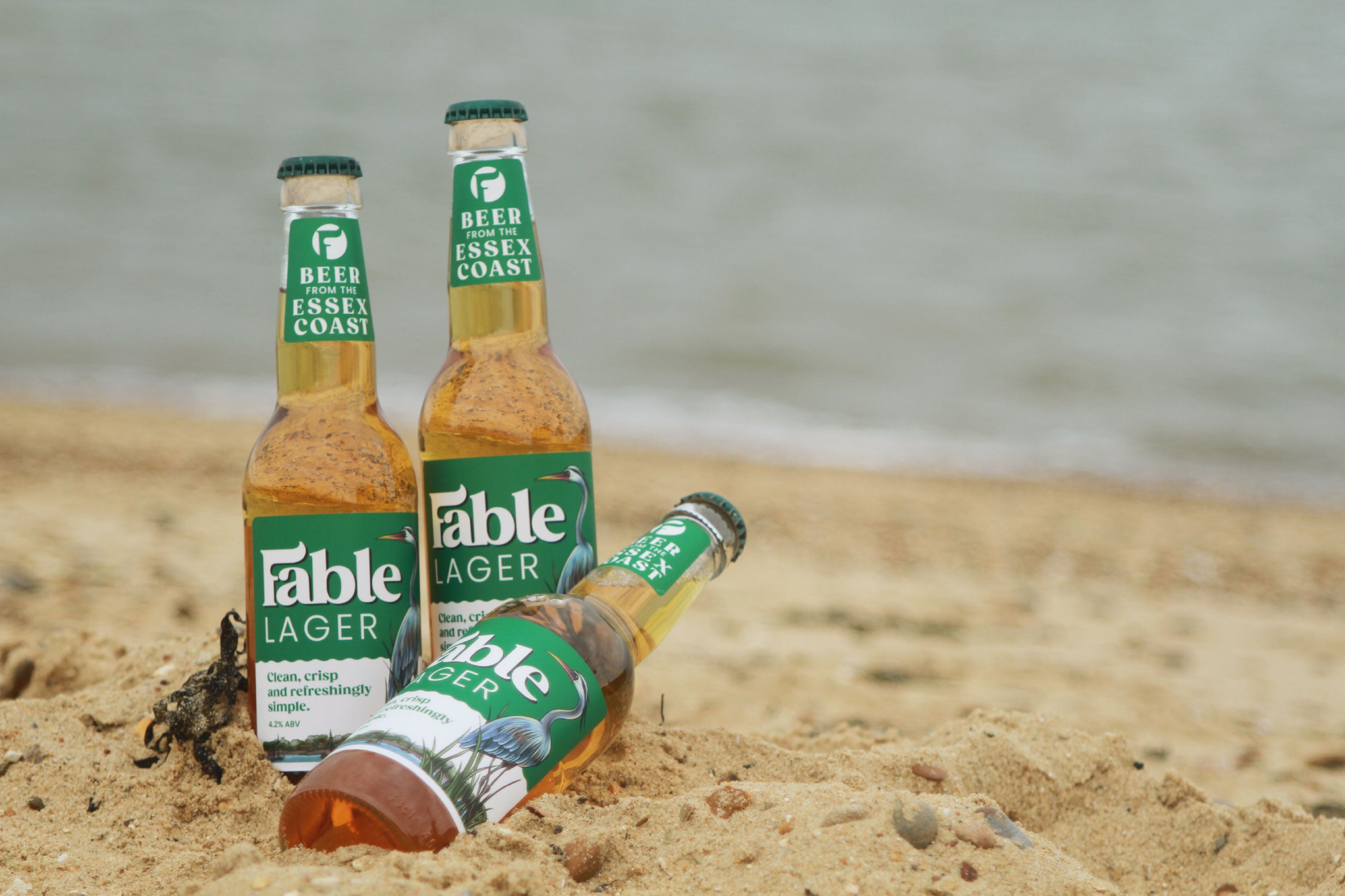 Fable Lager - 330ml Bottles
