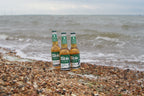 Fable Lager - 330ml Bottles