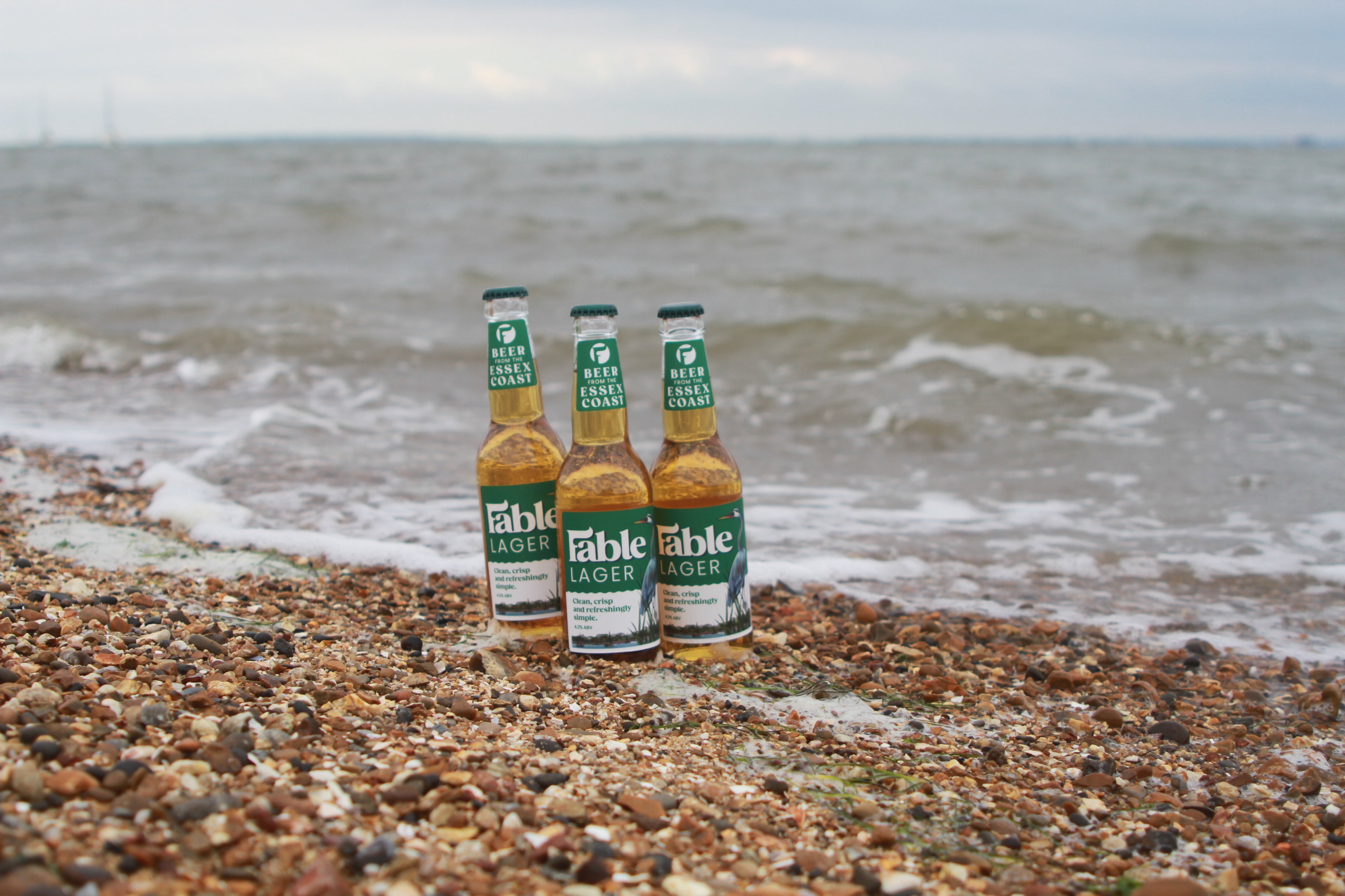 Fable Lager - 330ml Bottles